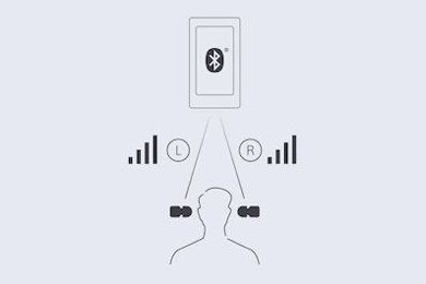 Sony True Wireless WF-SP800N