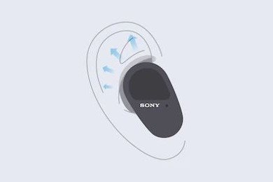 Sony True Wireless WF-SP800N