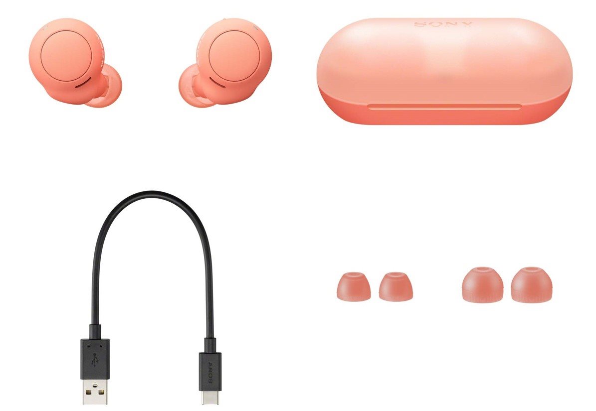 Sony WF-C500 True Wireless Headphones