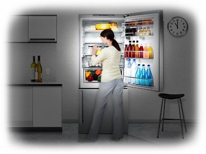 SAMSUNG RL4353RBASL/EO