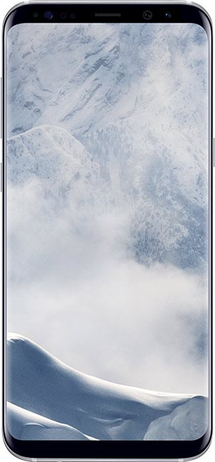 Samsung Galaxy S8 + šedý
