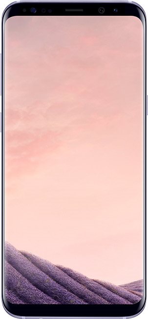Samsung Galaxy S8+ šedý
