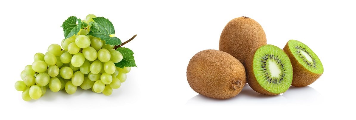 Shower gel LACTOVIT Fruit Kiwi and Grapes 500 ml