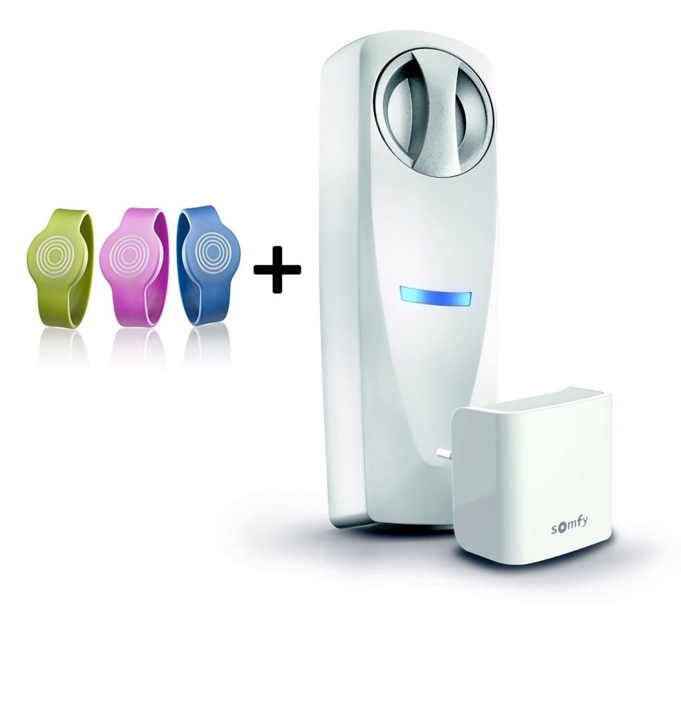 Somfy Doorlock