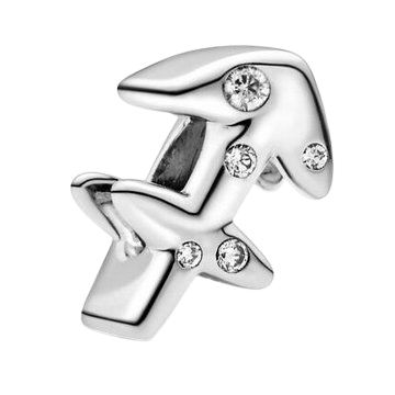 PANDORA Moments ID 798419C01 charm