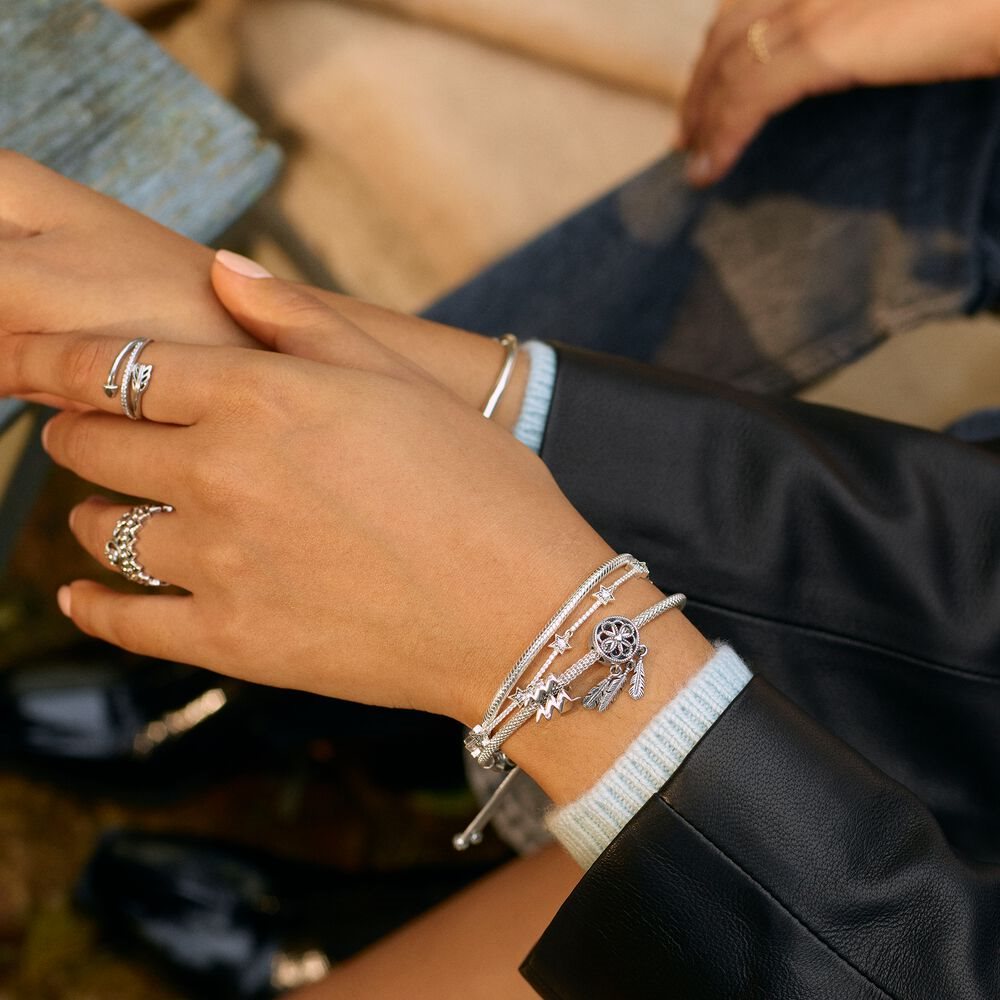 Pandora Moments Passions 797200