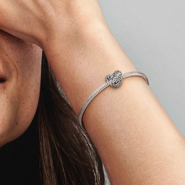 PANDORA Moments People 798571C00
