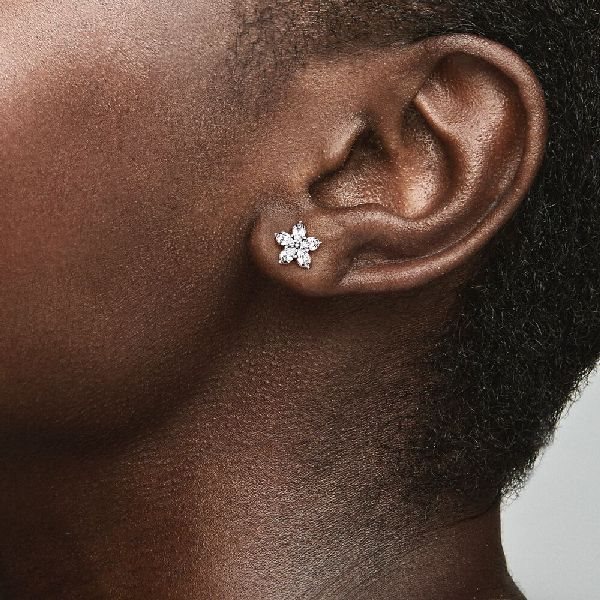 PANDORA Timeless 299239C01 earrings