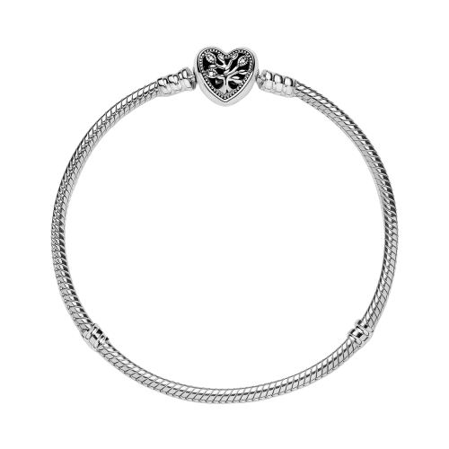 PANDORA Moments People 598827C01-20