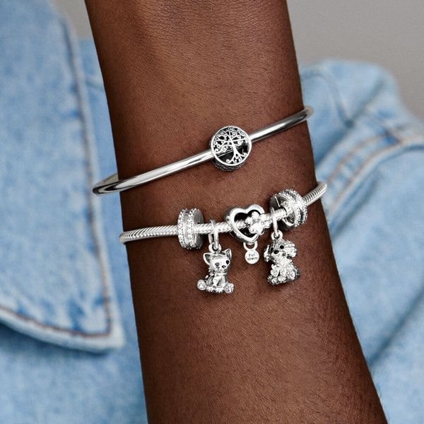 PANDORA Moments Passions 798873C01 charm