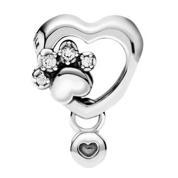 PANDORA Moments Passions 798873C01 charm