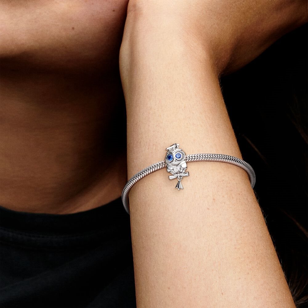 PANDORA Moments People 798907C01