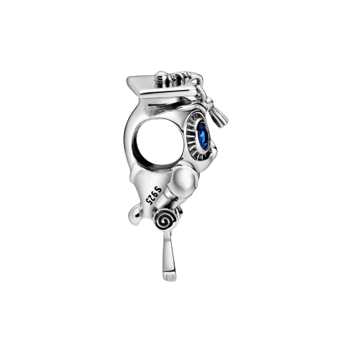 PANDORA Moments People 798907C01