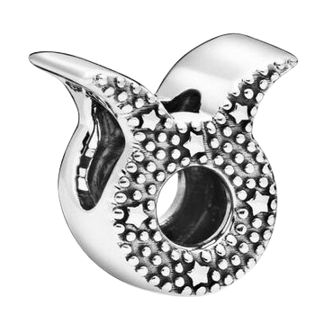 PANDORA Moments ID 798418C01 charm