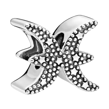 PANDORA Moments ID 798426C01 charm