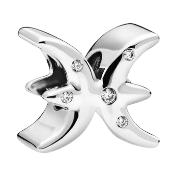 PANDORA Moments ID 798426C01 charm