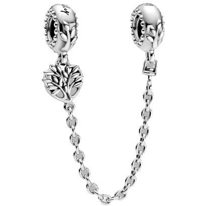 PANDORA Moments People 799293C00-05
