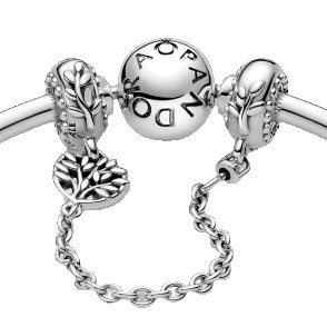 PANDORA Moments People 799293C00-05