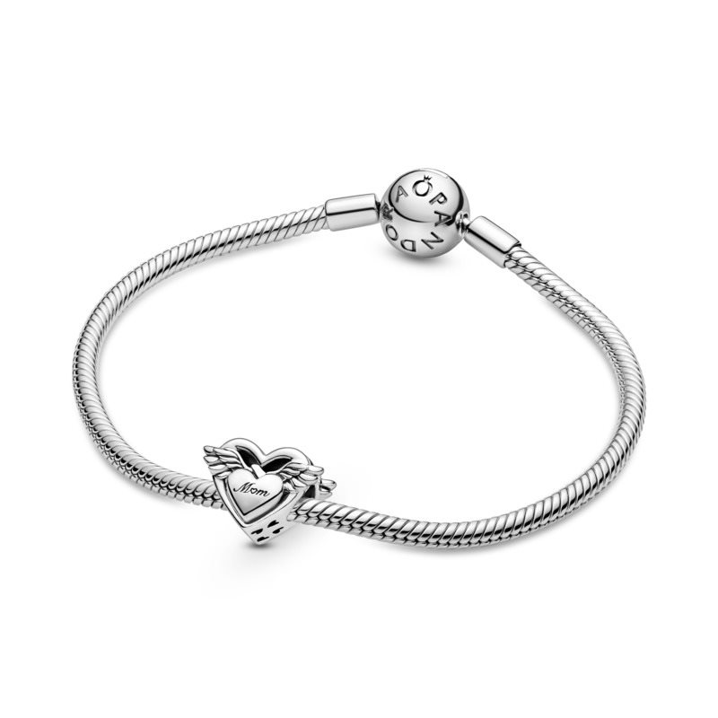 PANDORA Moments Passions 799367C00