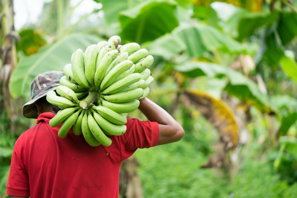 Trockenfrüchte Bery Jones Bananenscheiben 750g sortenrein