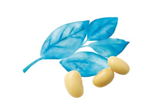 Vegetable drink Alpro soy drink with vanilla flavour 1l Vegetable drink Alpro soy drink with vanilla flavour 1l