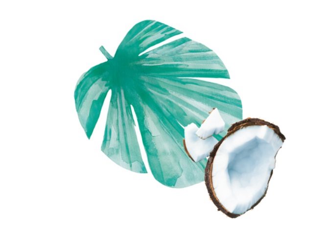 Vegetable drink Alpro coconut drink 1l
