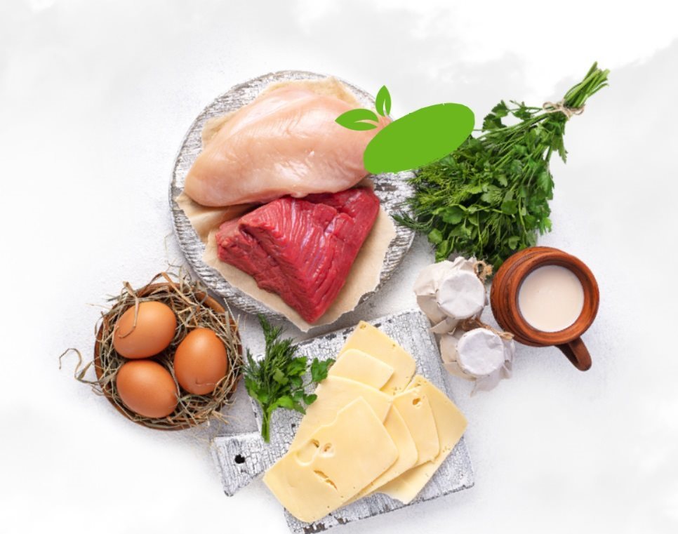 MRE Expres Menu Rajská omáčka s hovězím