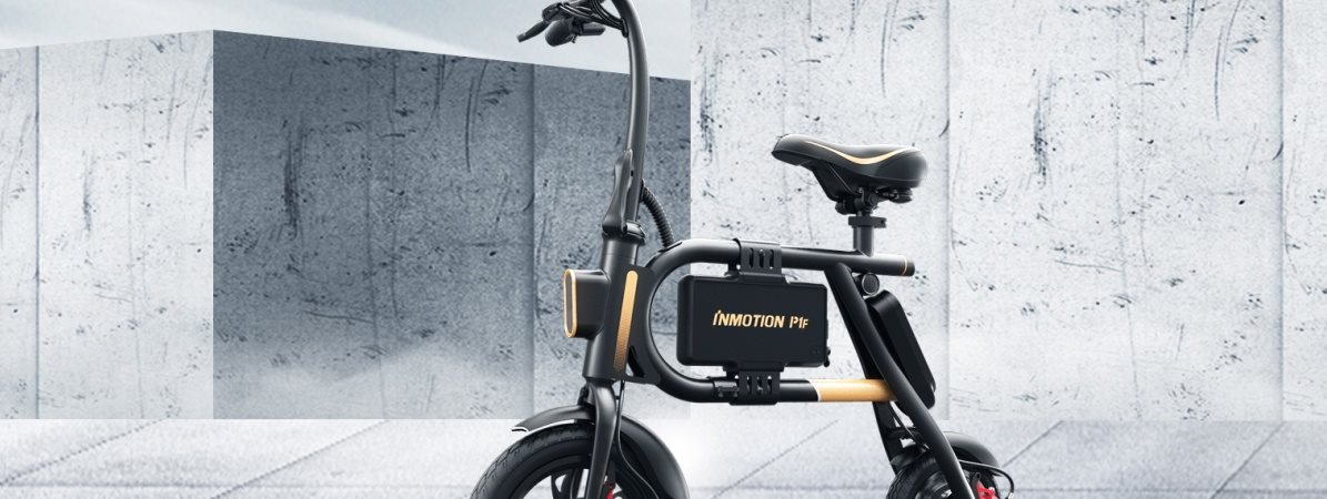 Inmotion P1F