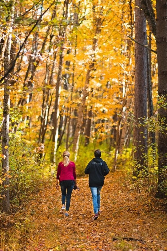 basket heart bio hacking