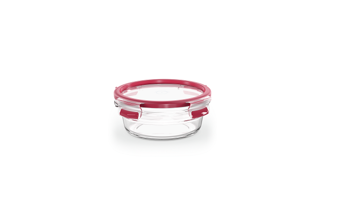 Tefal Master Seal Glass N1040310 0.6L food container