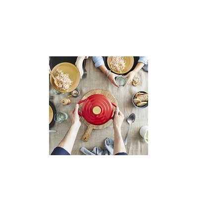 Ovale Kasserolle mit Deckel Tefal Air E2544455