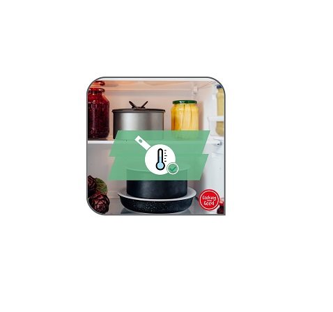Tefal 20 cm Ingenio Natural Force L3963002