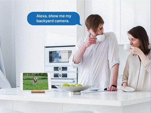 TP-Link Tapo C520WS
