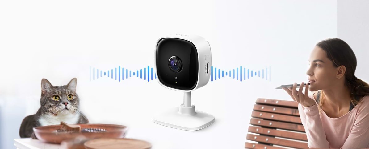 TP-Link Tapo C100