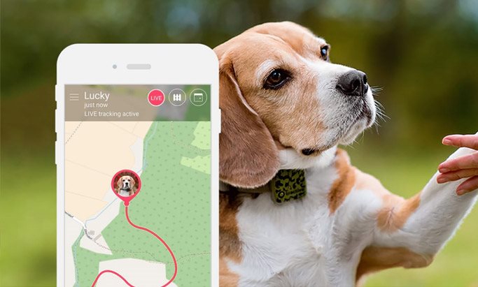 Tractive GPS Hunters Edition Historie pohybu