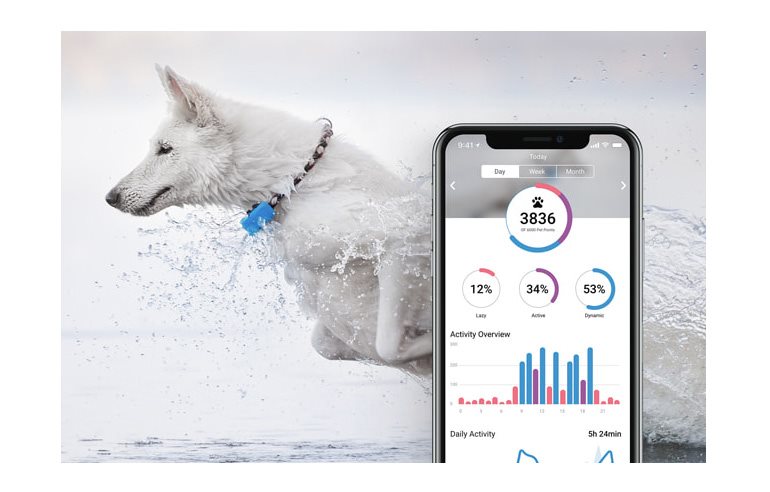 Monitorovanie denné aktivity