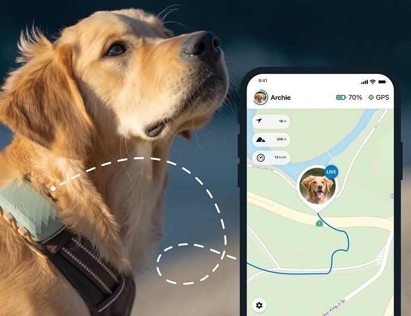 GPS lokátor Tractive DOG XL