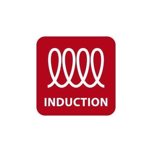 indukce indukce