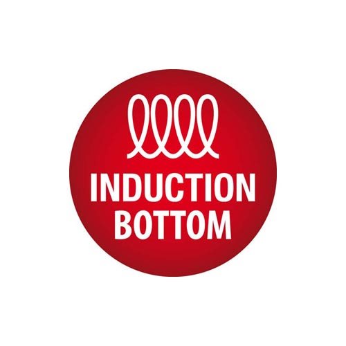indukce