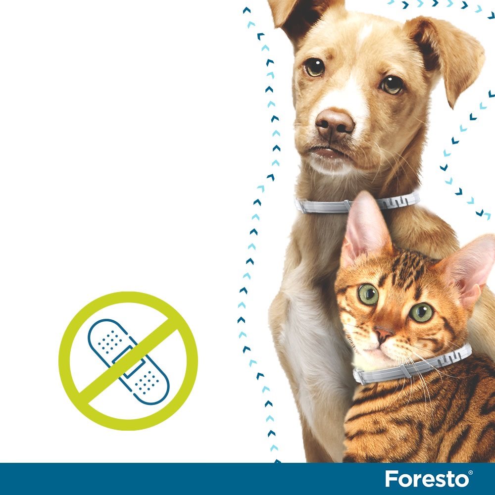 Antiparazitní obojek Foresto 1,25 g + 0,56 g