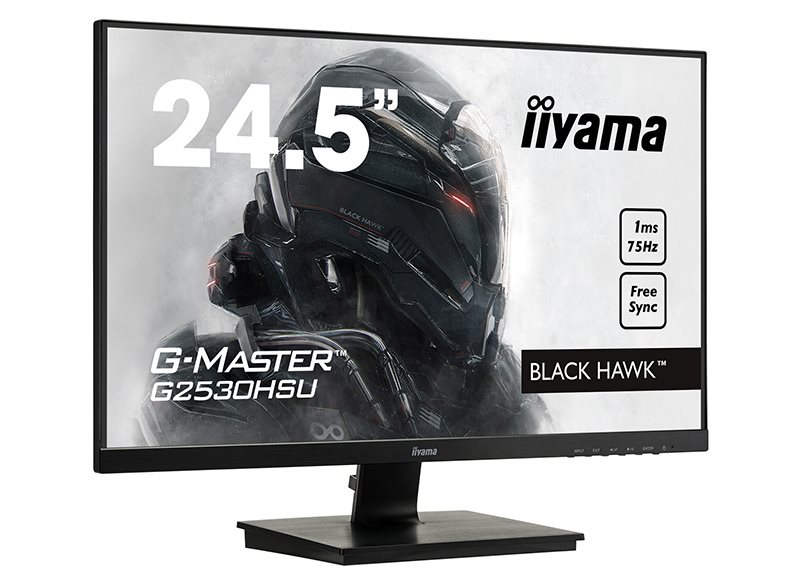 iiyama G-Master Black Hawk G2530HSU-B1