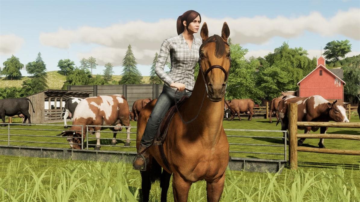Farming Simulator 19: Premium Edition