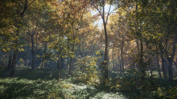 PC The Hunter: Call of the Wild