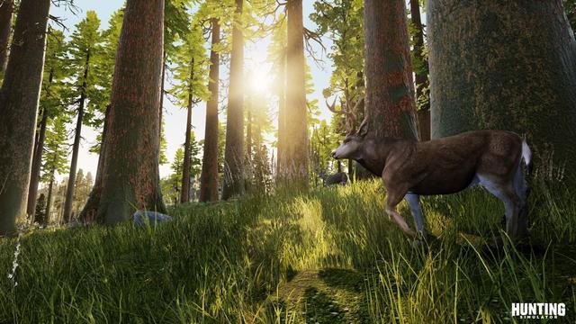 Animals really behave like in reality Hunting simulator - realistický simulátor