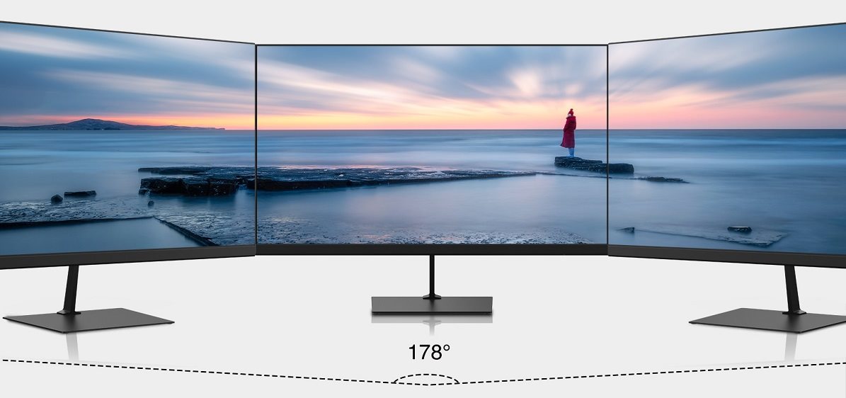LCD-Bildschirm DAHUA LM24-C200