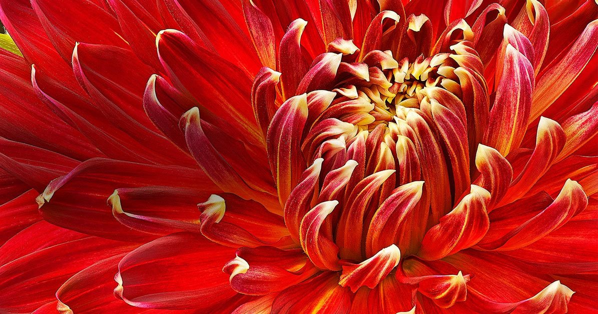 LG 43LM6300 Full HD rozlišení