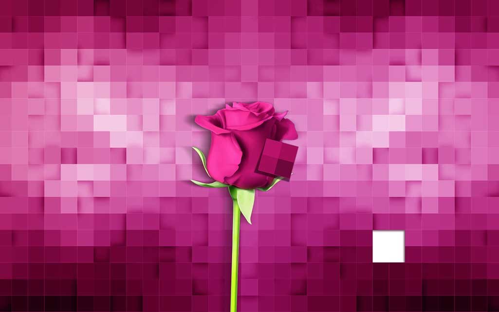 3D Color Mapping