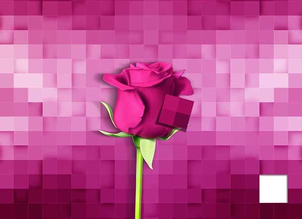 3D Color Mapping 3D Color Mapping