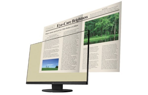 EIZO FlexScan EV2450