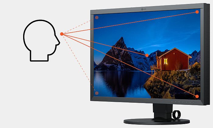 LCD-Bildschirm 31,5" EIZO ColorEdge CG319X